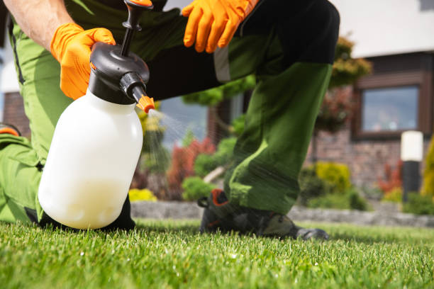 Best Cockroach Control Services  in Baldwin City, KS