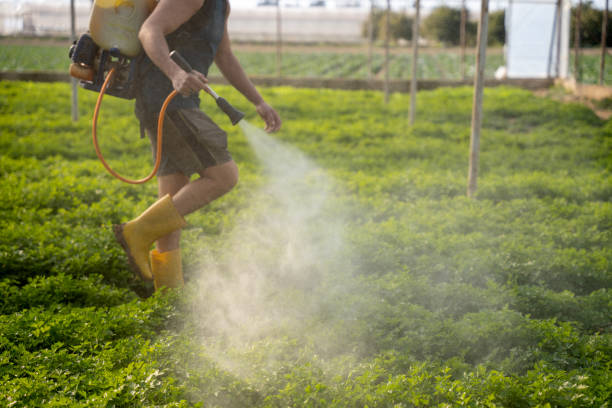 Best Commercial Pest Control Services  in Baldwin City, KS