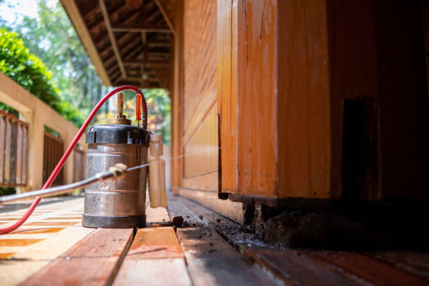 Best Termite Control Services  in Baldwin City, KS