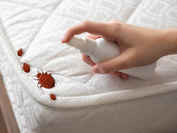 Best Bed Bug Extermination  in Baldwin City, KS